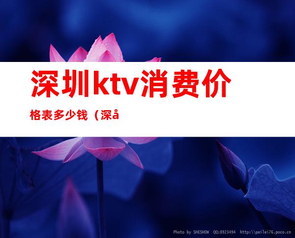 深圳ktv消费价格表多少钱(深圳KTV价格)
