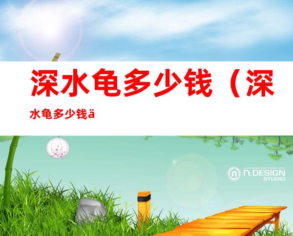 深水龟多少钱(深水龟多少钱一斤)