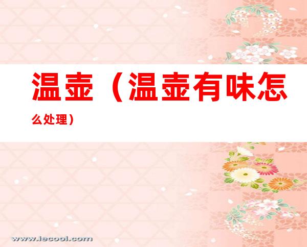 温壶(温壶有味怎么处理)