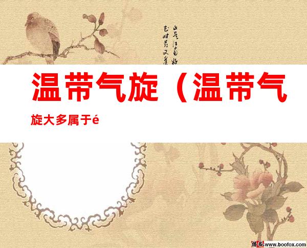 温带气旋(温带气旋大多属于锋面气旋)