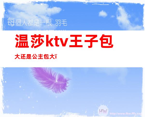 温莎ktv王子包大还是公主包大()