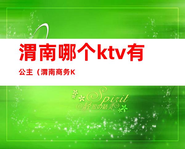 渭南哪个ktv有公主（渭南商务KTV）