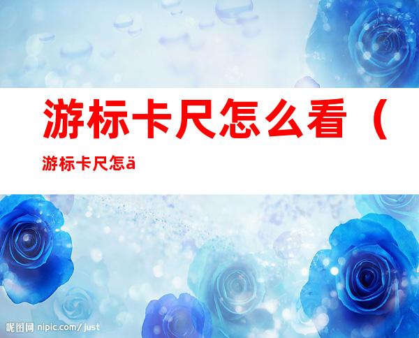 游标卡尺怎么看(游标卡尺怎么看刻度)