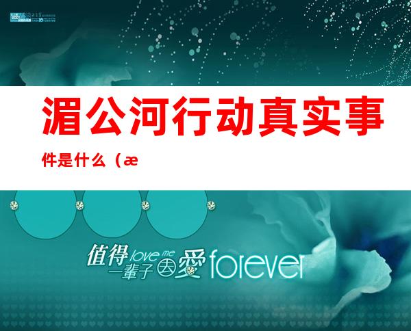 湄公河行动真实事件是什么（湄公河行动的真实案件）