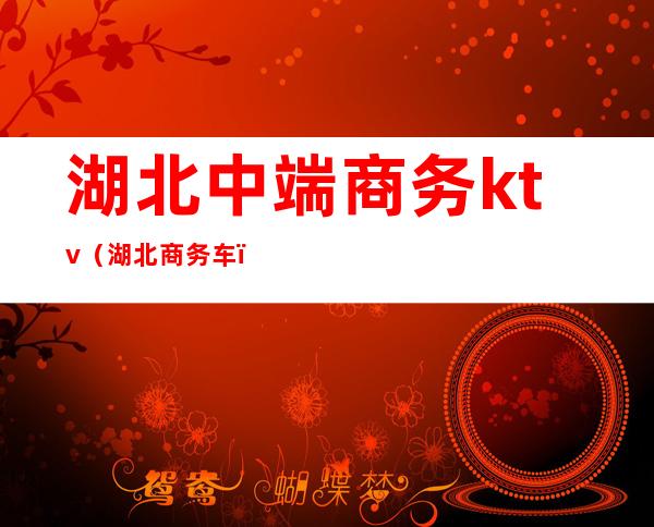 湖北中端商务ktv(湖北商务车)