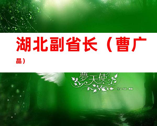 湖北副省长(曹广晶)