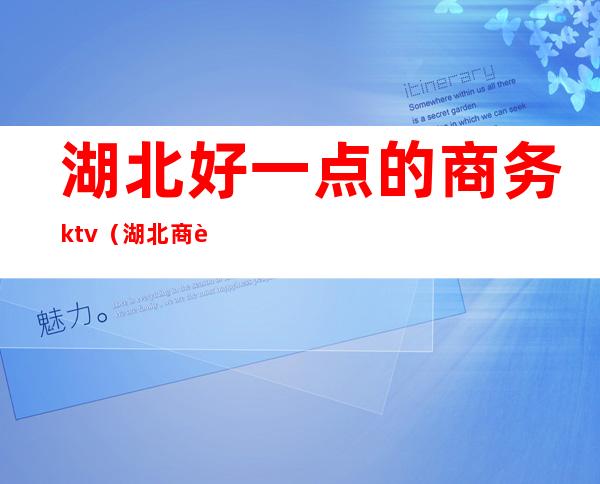 湖北好一点的商务ktv(湖北商贸好吗)