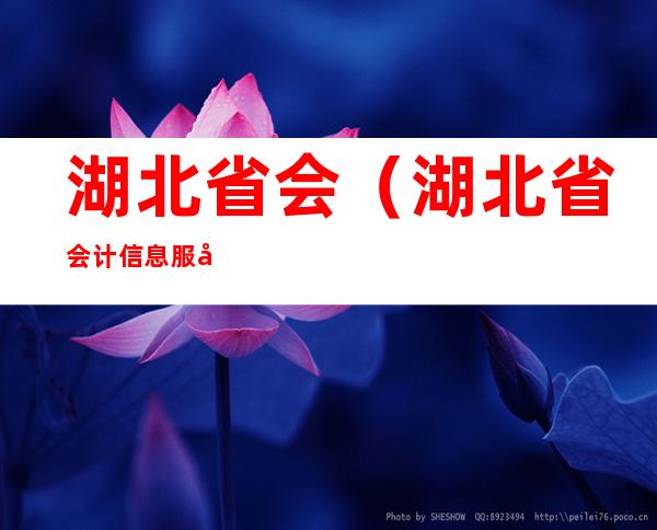 湖北省会（湖北省会计信息服务平台官网）
