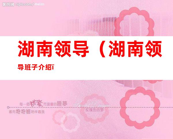 湖南领导(湖南领导班子介绍)