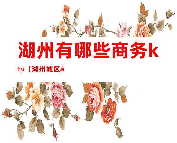 湖州有哪些商务ktv(湖州城区商务楼营业部是干嘛的)