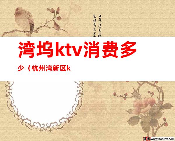 湾坞ktv消费多少(杭州湾新区ktv小费)