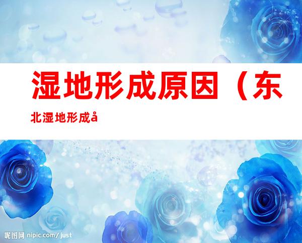 湿地形成原因(东北湿地形成原因)