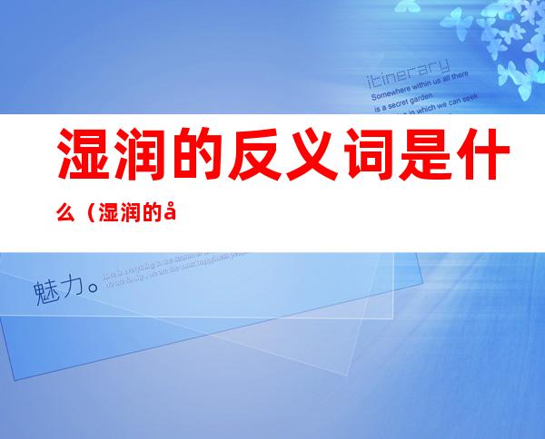 湿润的反义词是什么（湿润的反义词是什么 标准答案）