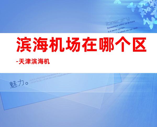 滨海机场在哪个区-天津滨海机场