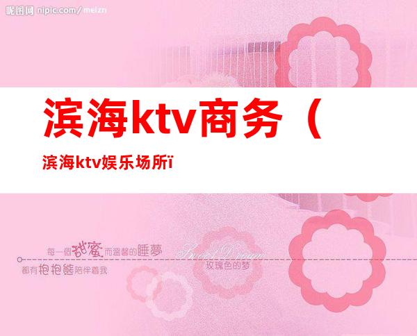 滨海ktv商务(滨海ktv娱乐场所)