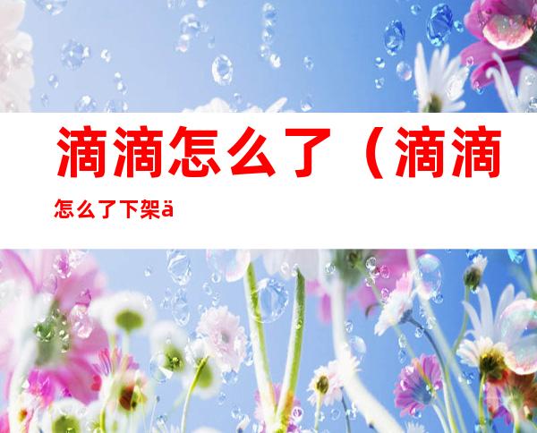 滴滴怎么了（滴滴怎么了下架了知乎）