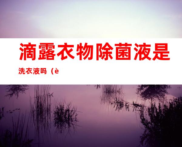 滴露衣物除菌液是洗衣液吗(衣物除菌液有哪些滴露)