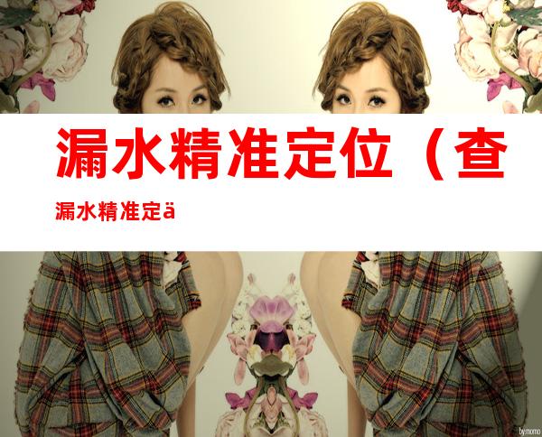 漏水精准定位(查漏水精准定位)