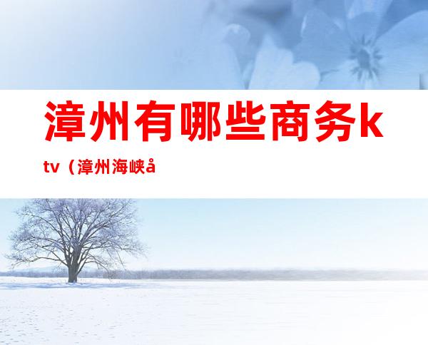 漳州有哪些商务ktv(漳州海峡商务运营中心)