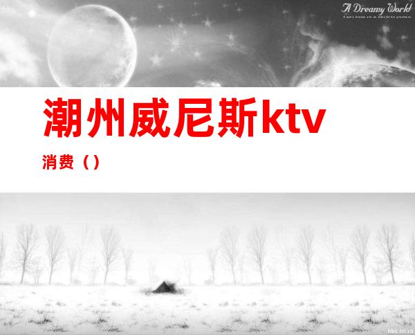 潮州威尼斯ktv消费（）