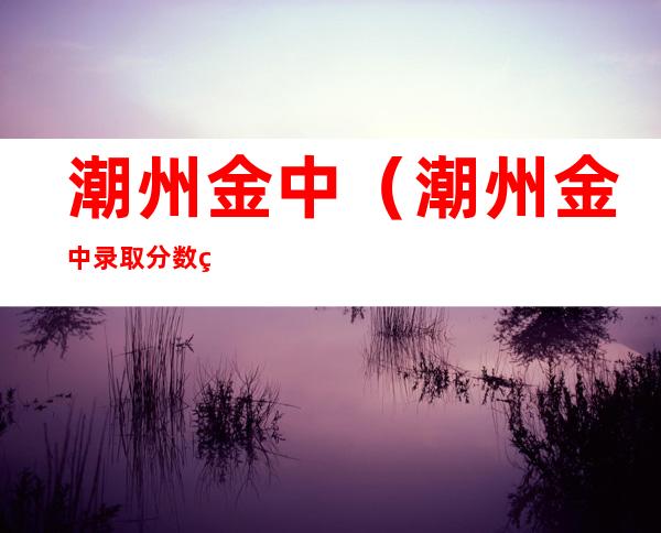 潮州金中(潮州金中录取分数线2022)