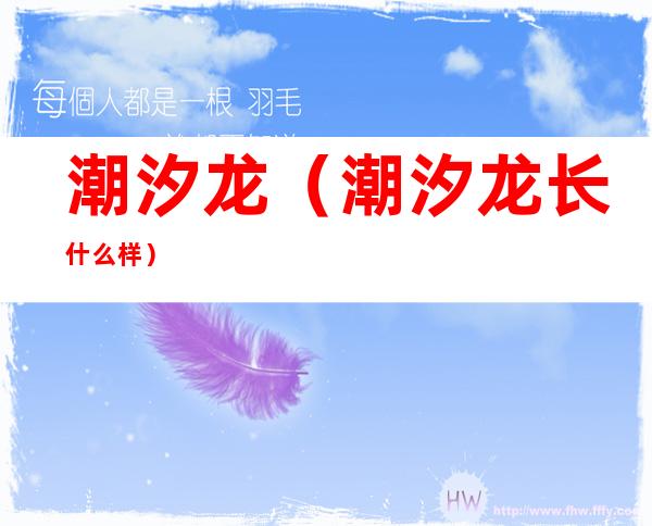 潮汐龙(潮汐龙长什么样)