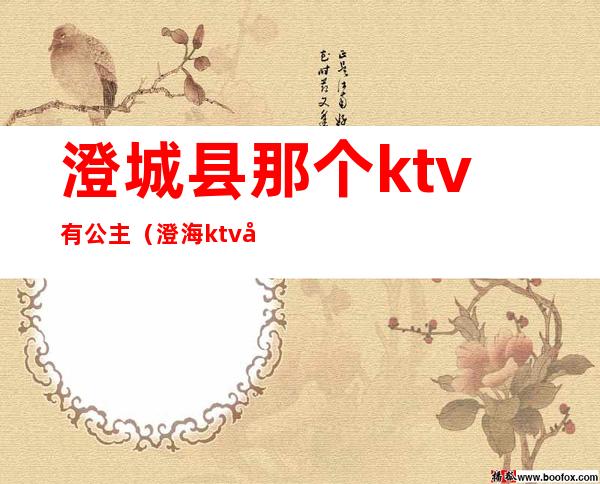 澄城县那个ktv有公主(澄海ktv哪家有公主)