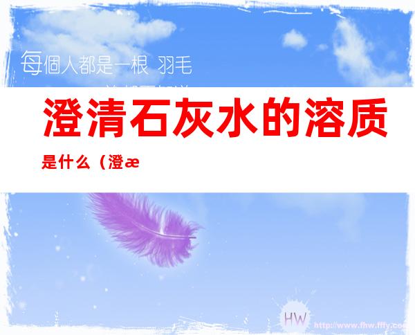 澄清石灰水的溶质是什么(澄清石灰水的溶质是什么溶剂是什么)