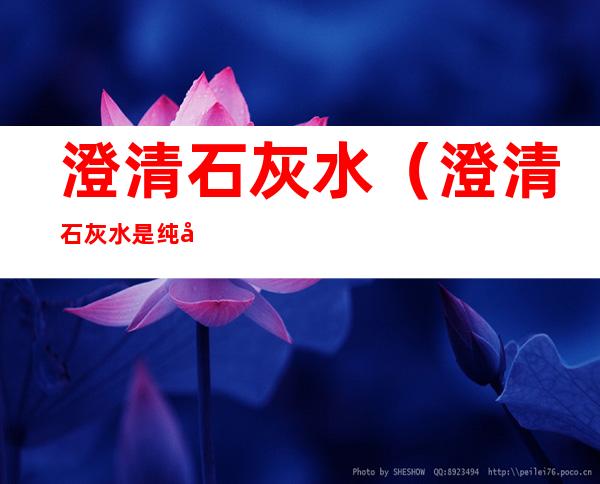 澄清石灰水(澄清石灰水是纯净物吗)