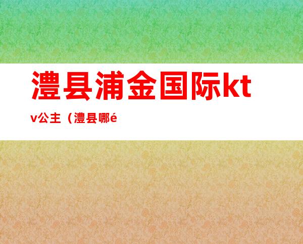 澧县浦金国际ktv公主(澧县哪里有公主ktv)