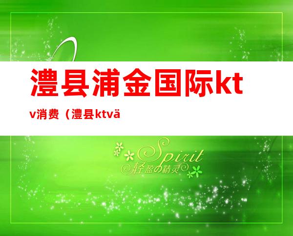 澧县浦金国际ktv消费(澧县ktv价格表)