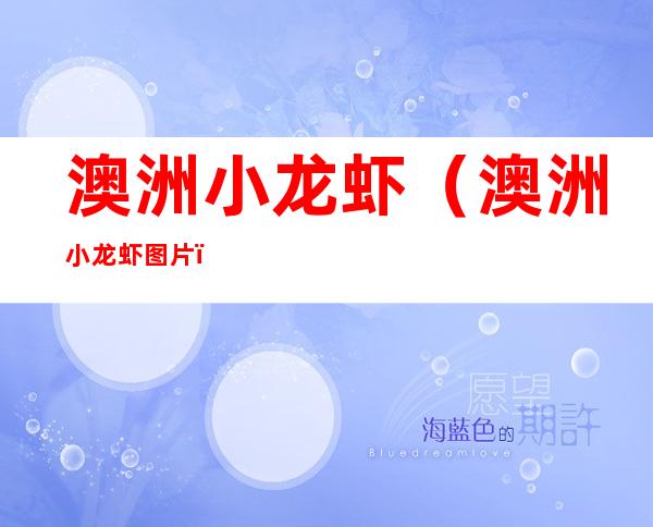 澳洲小龙虾(澳洲小龙虾图片)