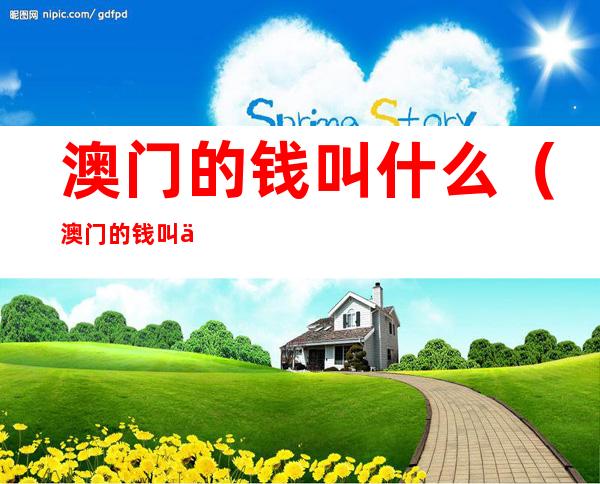 澳门的钱叫什么(澳门的钱叫什么的钱兑换人民币)
