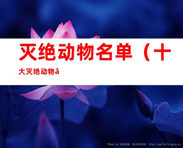 灭绝动物名单（十大灭绝动物名单）