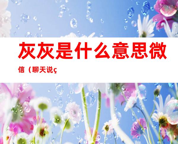 灰灰是什么意思微信（聊天说灰灰是什么意思）