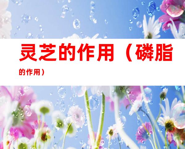 灵芝的作用(磷脂的作用)