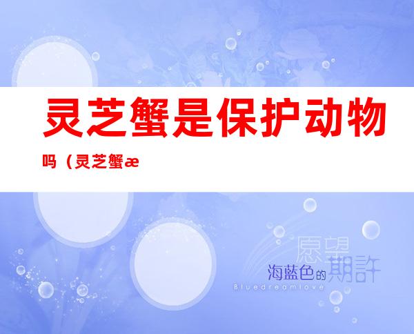 灵芝蟹是保护动物吗(灵芝蟹是保护动物吗为什么)