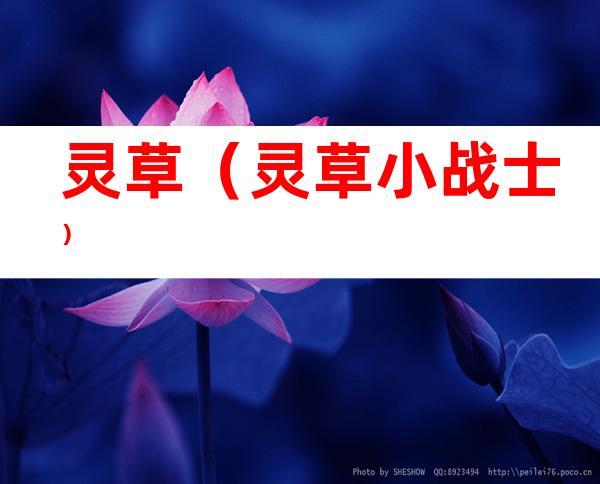 灵草(灵草小战士)