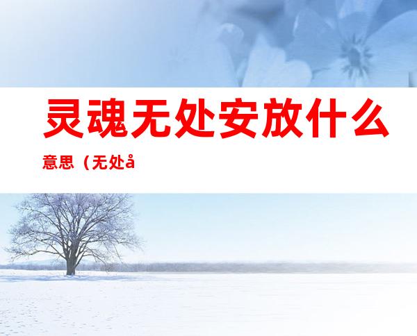 灵魂无处安放什么意思(无处安放的灵魂是什么意思)