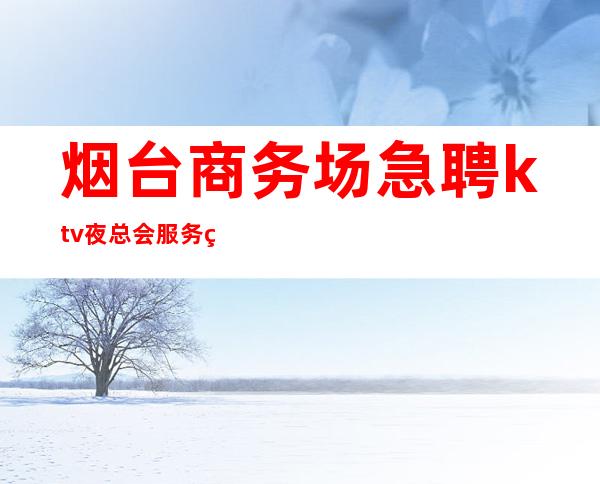 烟台商务场急聘ktv夜总会服务生-本人实力