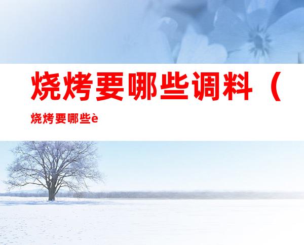 烧烤要哪些调料(烧烤要哪些调料好吃)