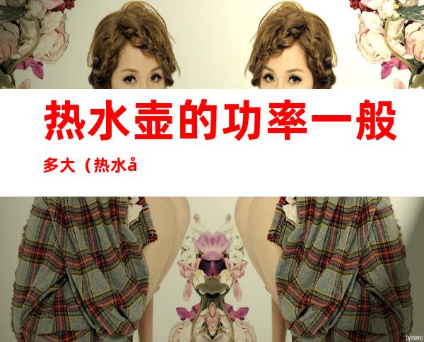 热水壶的功率一般多大（热水壶最大功率是多少）