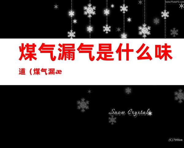 煤气漏气是什么味道(煤气漏气是什么味道?)