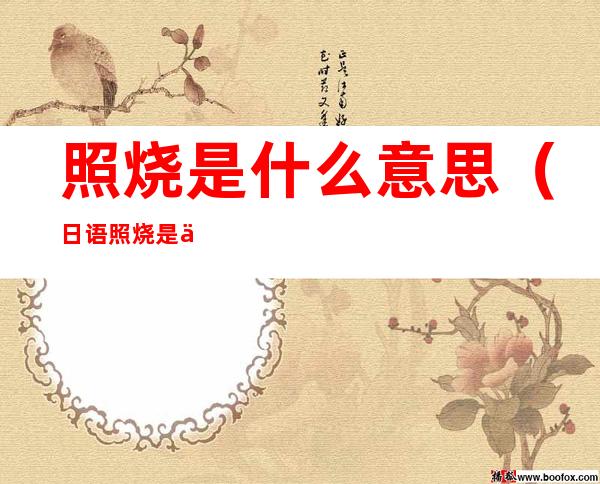 照烧是什么意思(日语照烧是什么意思)