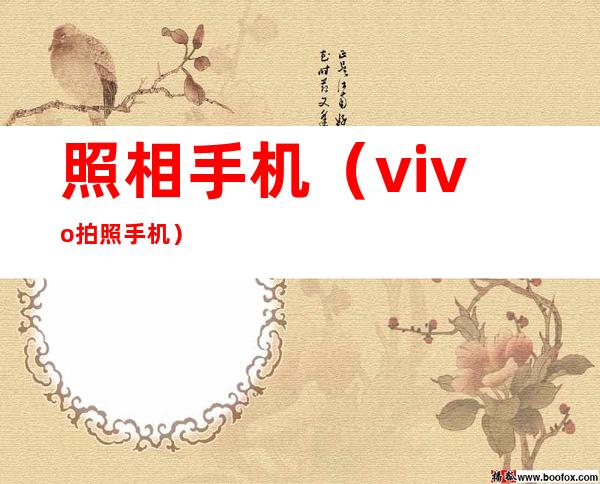 照相手机（vivo拍照手机）
