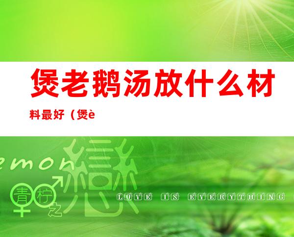 煲老鹅汤放什么材料最好(煲老鹅汤放什么材料最好吃)