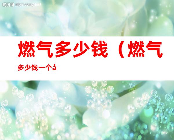 燃气多少钱(燃气多少钱一个字儿)