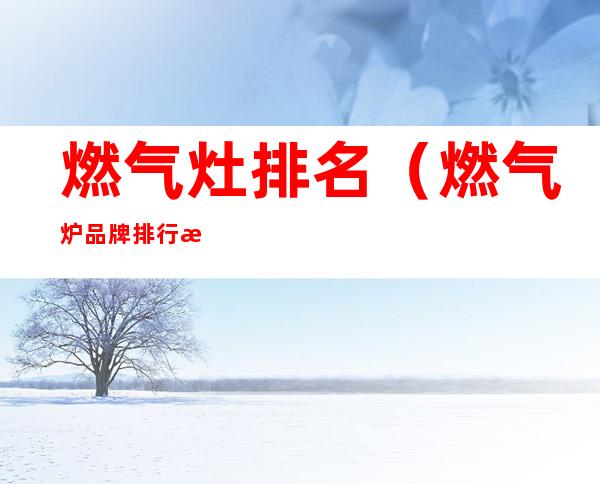 燃气灶排名(燃气炉品牌排行榜前十名)