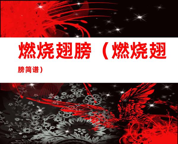 燃烧翅膀(燃烧翅膀简谱)