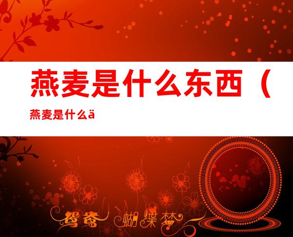 燕麦是什么东西(燕麦是什么东西啊)